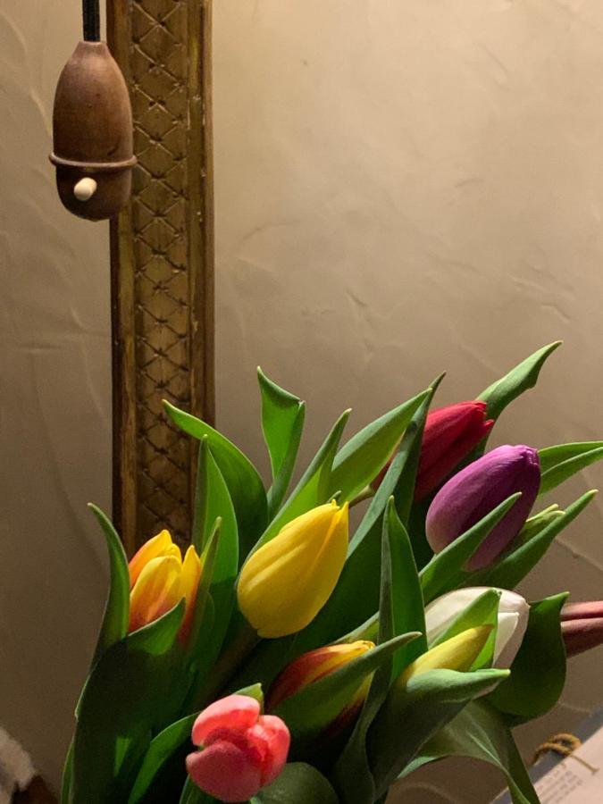 B&B Villa Thibault Liege Bagian luar foto